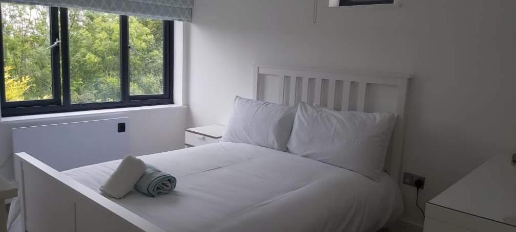 Newquay Rialton Holiday Home Buitenkant foto